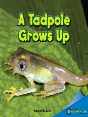 cover image of A Tadpole Grows Up